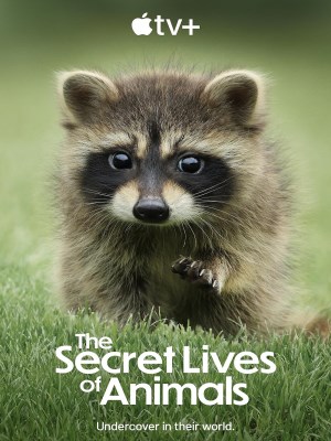 Xem phim The Secret Lives of Animals