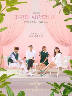 Xem phim The Secret Life of My Secretary