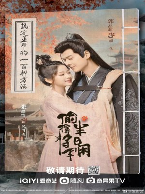 Xem phim Tou De Jiang Jun Ban Ri Xian