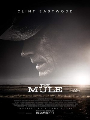 Xem phim The Mule