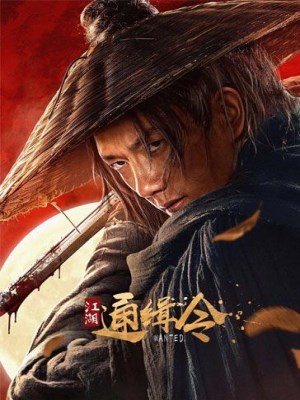 xem phim Lenh Truy Na Giang Ho
