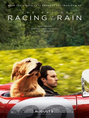 Xem phim The Art of Racing in the Rain