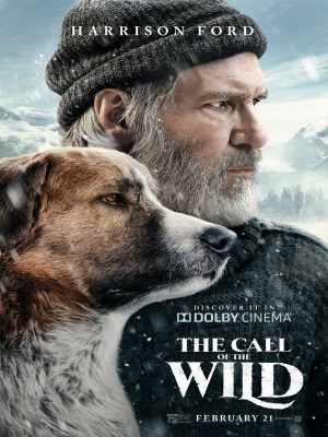 Xem phim The Call of the Wild