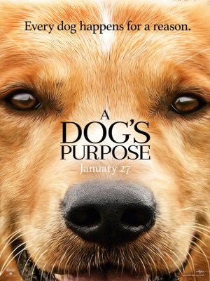 Xem phim A Dog's Purpose
