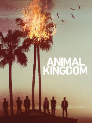 Xem phim Animal Kingdom Season 1