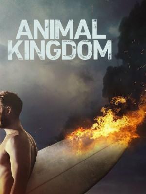 Xem phim Animal Kingdom Season 2