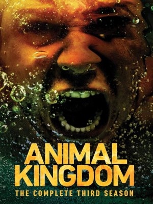 Xem phim Animal Kingdom Season 3
