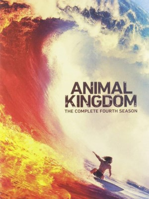 Xem phim Animal Kingdom Season 4