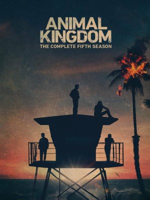 Xem phim Animal Kingdom Season 5