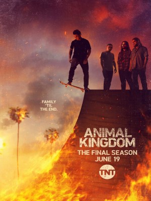 Xem phim Animal Kingdom Season 6