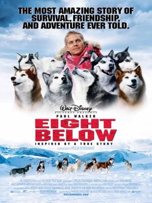 Xem phim Eight Below