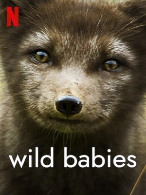 Xem phim Wild Babies