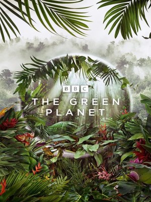 Xem phim The Green Planet