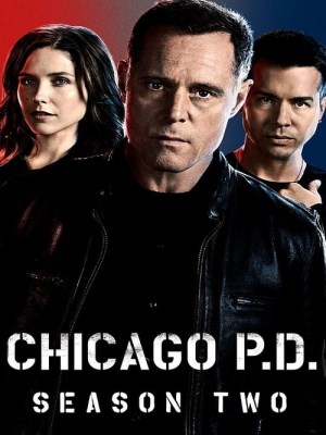 Xem phim Chicago P.D. Season 2