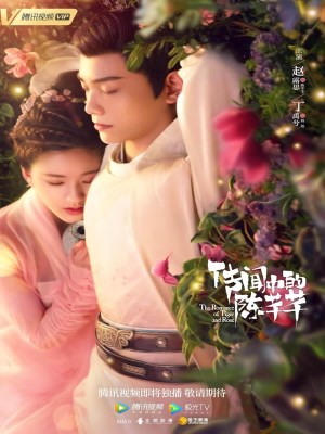Xem phim The Romance of Tiger and Rose