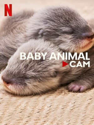 Xem phim Baby Animal Cam