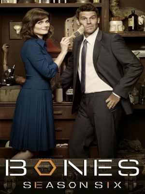 Xem phim Bones Season 6
