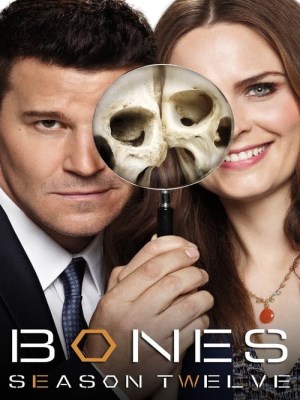Xem phim Bones Season 12