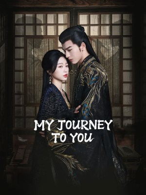 Xem phim My Journey to You
